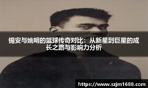 ng电子游戏官网