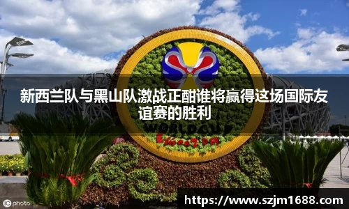 ng电子游戏官方网站